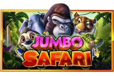 Live Casino နှင့် Bingo luckfish